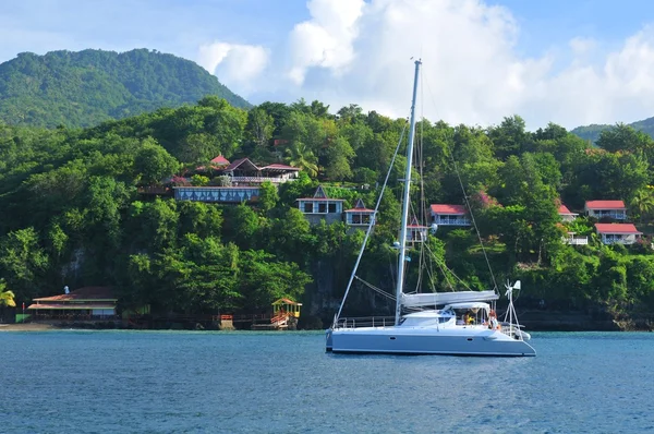 Catamaran cruise — Stockfoto