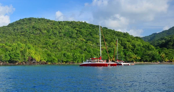 Crucero en catamarán — Foto de Stock