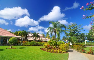 Exotic garden