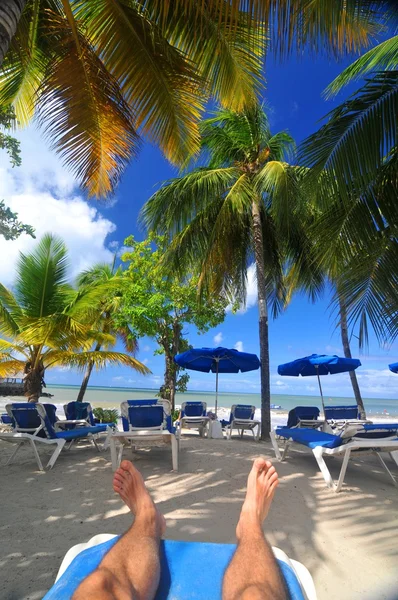 En la playa —  Fotos de Stock