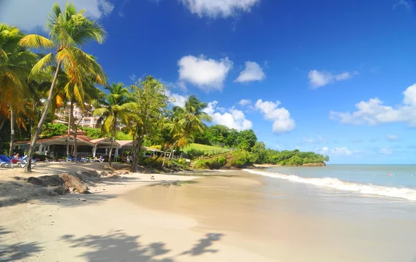 Spiaggia tropicale — Foto Stock