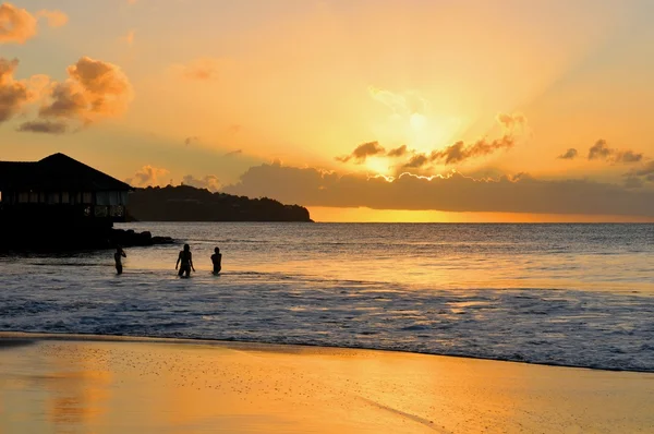 Tropical island — Stock Photo, Image