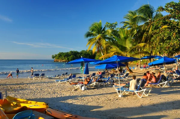 Caribeño — Foto de Stock