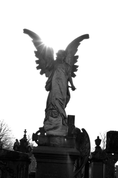 Angel — Stock Photo, Image