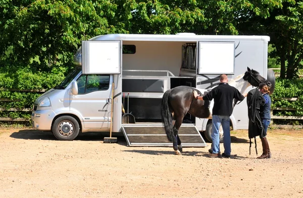 Transporte de cavalos — Fotografia de Stock