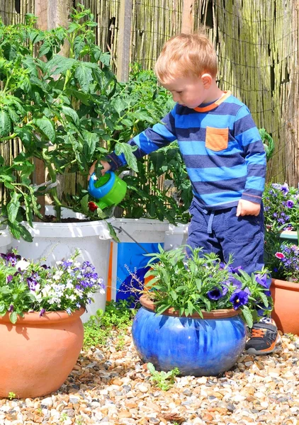 Niño en el jardín —  Fotos de Stock