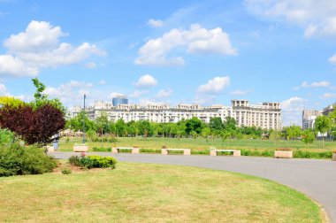 verliefde paar met bloemen in de natuur