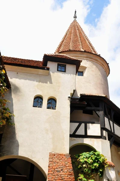 Dracula Castle — Stock Photo, Image