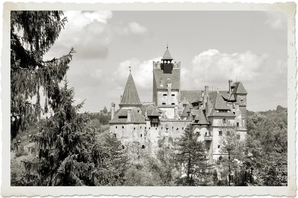 Замок Дракула — стоковое фото