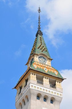 Targu mures, Romanya