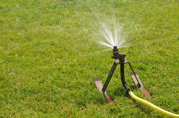 Rasensprenger versprüht Wasser — Stockfoto