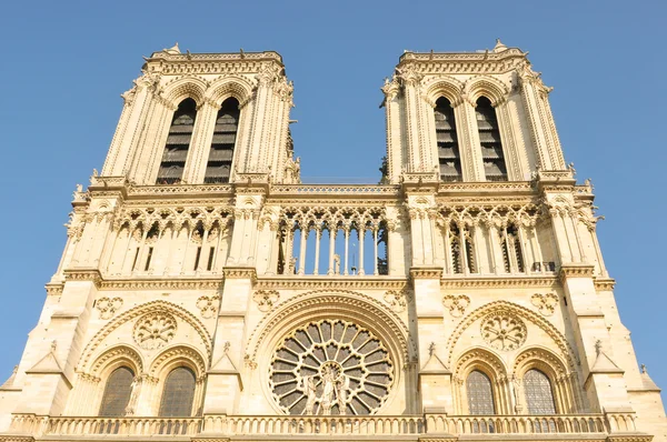 Notre Dame w Paryżu — Zdjęcie stockowe