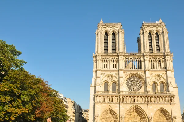 Notre Dame w Paryżu — Zdjęcie stockowe