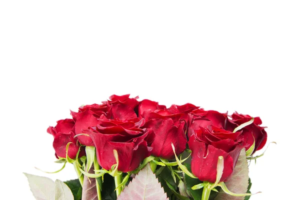 Buket mawar merah. Terisolasi pada latar belakang putih — Stok Foto