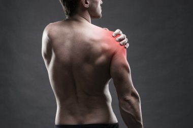 Pain in the shoulder. Muscular male body. Handsome bodybuilder posing on gray background. Low key close up studio shot  clipart