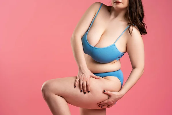 Mujer Gorda Con Celulitis Muslos Ropa Interior Azul Sobre Fondo Fotos De Stock