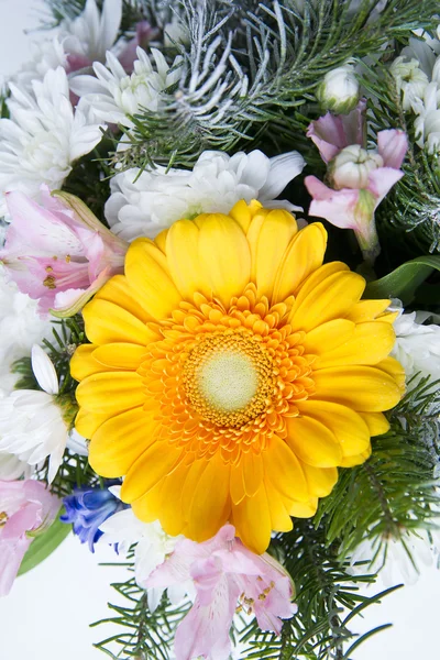 Yellow gerbera close up — Stock Photo, Image