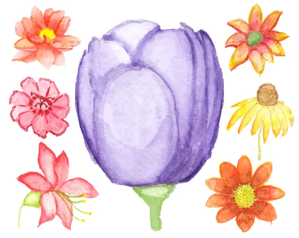 Flores de aquarela —  Vetores de Stock