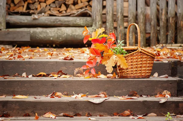 Cesta con hojas de otoño en los escalones —  Fotos de Stock