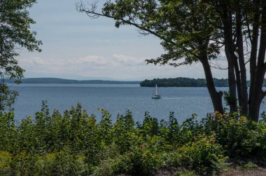 Champlain Gölü 'nün kıyısındaki raylar ağaçlar ve ezilmiş taşlarla dolu.