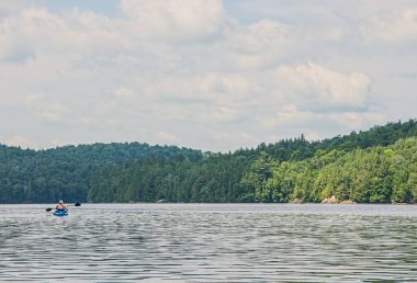 Saranac Gölü 'ndeki geyik göleti.