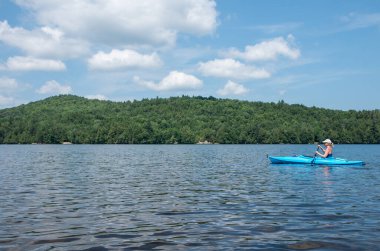 Saranac Gölü 'ndeki geyik göleti.