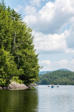 Saranac Gölü 'ndeki geyik göleti.