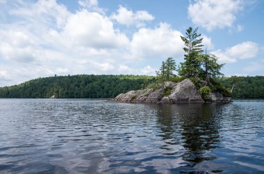 Saranac Gölü 'ndeki geyik göleti.