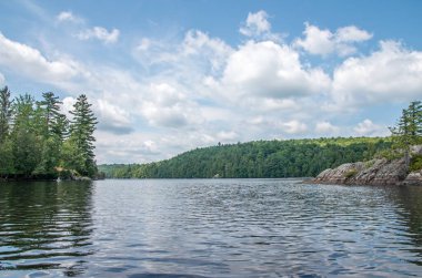 Saranac Gölü 'ndeki geyik göleti.