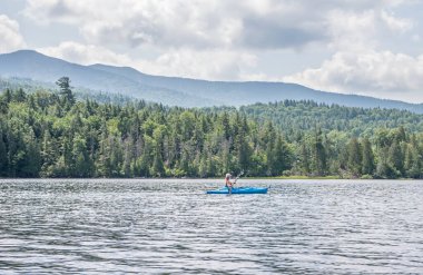 Saranac Gölü 'ndeki geyik göleti.