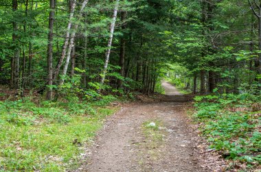 Wilmington Flume Patikası