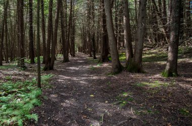 Gelin Au Roche State Park