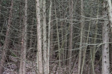 Gelin Au Roche State Park