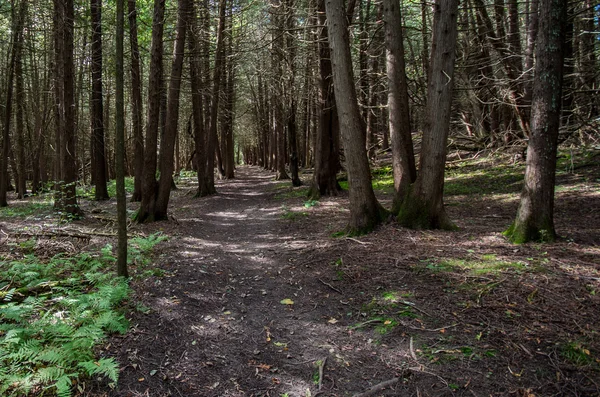 Gelin Au Roche State Park