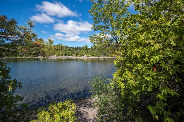 Punkt Au Roche State Park — Zdjęcie stockowe