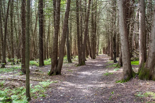 Punkt Au Roche State Park — Zdjęcie stockowe