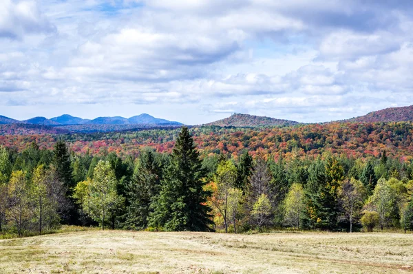 Couleurs d'automne — Photo