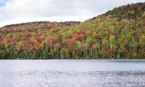 Couleurs d'automne — Photo