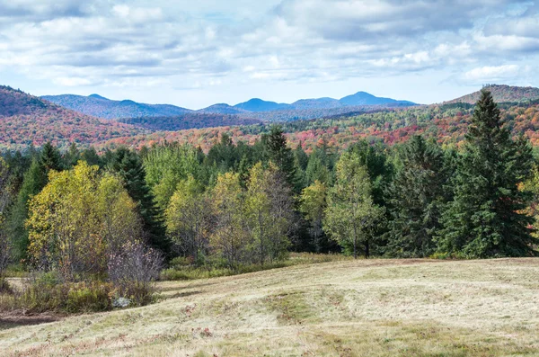 Couleurs d'automne — Photo