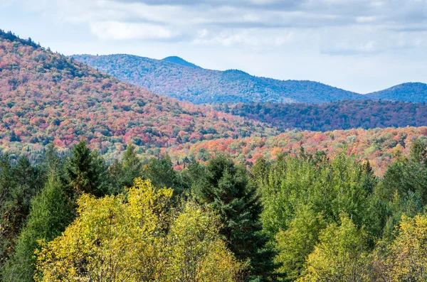 Fall colors — Stock Photo, Image