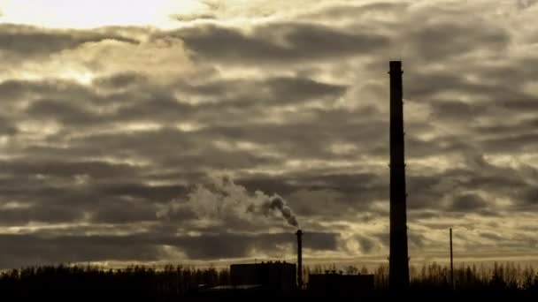 Several pipe factory. — Stock Video