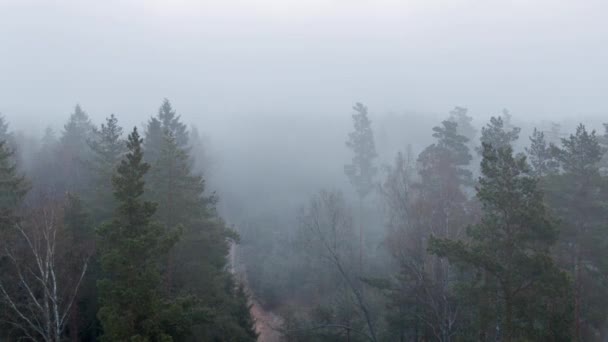 Time lapse el movimiento de la niebla . — Vídeo de stock