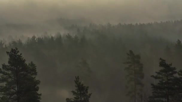 時間経過の朝の霧. — ストック動画