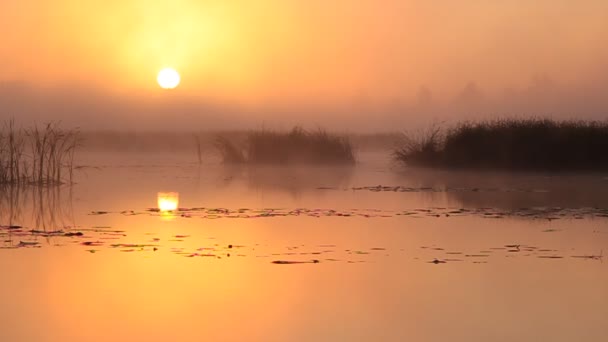 Zonsopgang op het meer. — Stockvideo