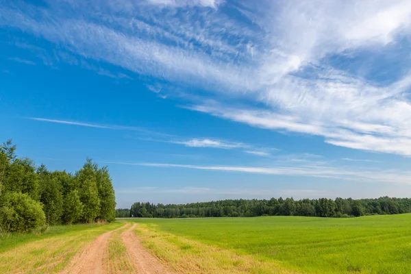 Paisagem rural. — Fotografia de Stock