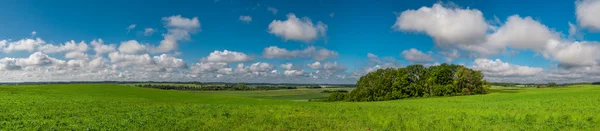 Літній краєвид Панорама . — стокове фото