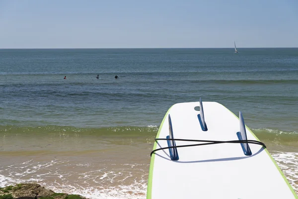 Tre kölar surfbräda — Stockfoto