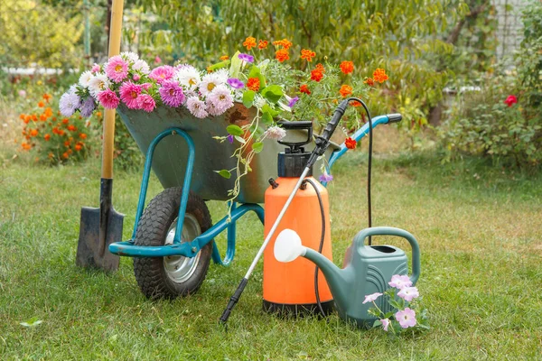 Mattina Dopo Lavoro Giardino Estivo Carriola Con Fiori Recisi Annaffiatoio — Foto Stock