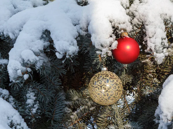 Red Yellow Christmas Balls Hanging Spruce Tree Branches Covered Snow — Stock Photo, Image