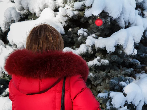 Γυναίκα Κοιτάζει Μια Κόκκινη Χριστουγεννιάτικη Μπάλα Κρεμασμένη Ένα Κλαδί Από — Φωτογραφία Αρχείου
